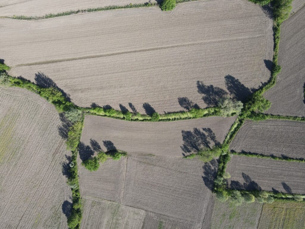 BEYKENT'TEN Erenler Küçükesencede 4.400 Metrekare Arazi — 5. fotoğraf